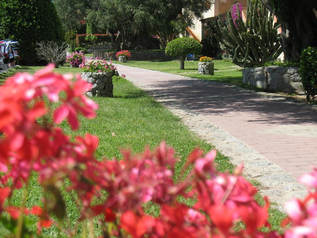 Villaggio L'Olivara Tropea Exteriér fotografie
