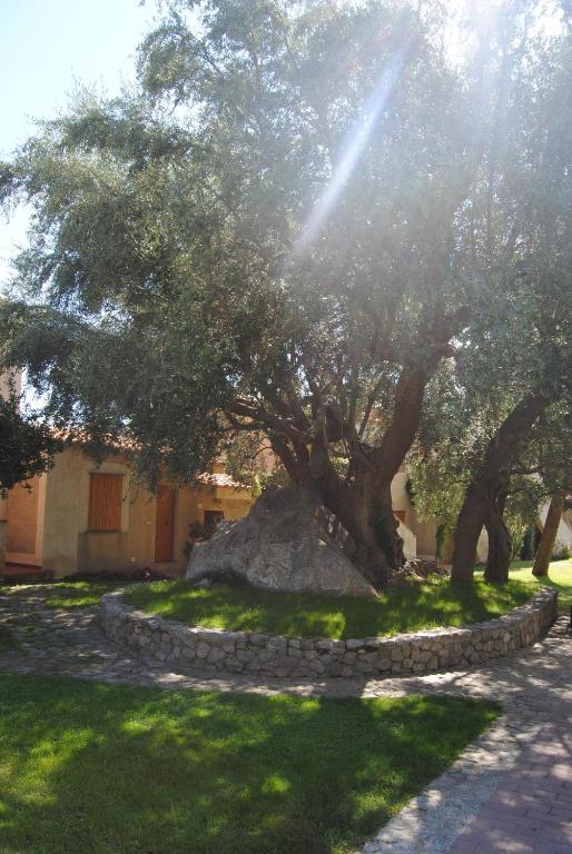 Villaggio L'Olivara Tropea Exteriér fotografie